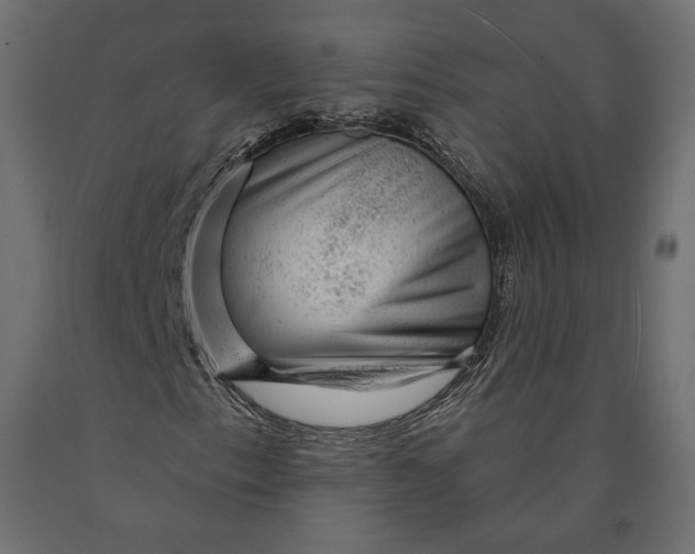 X0000090441153200708031147