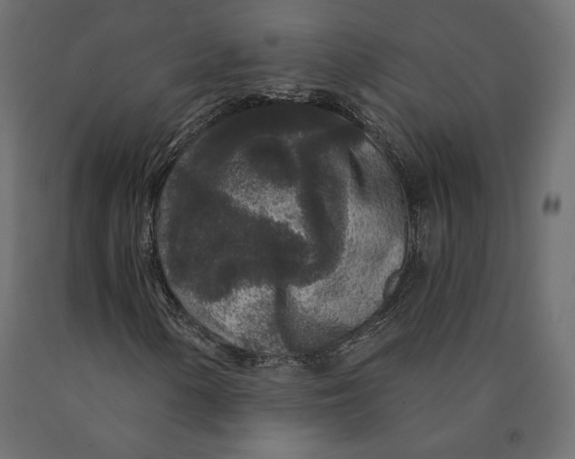 X0000090441154200708031147