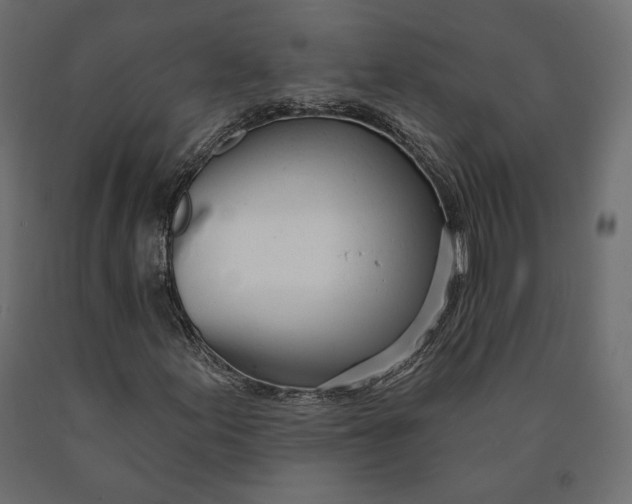 X0000090441155200708031147