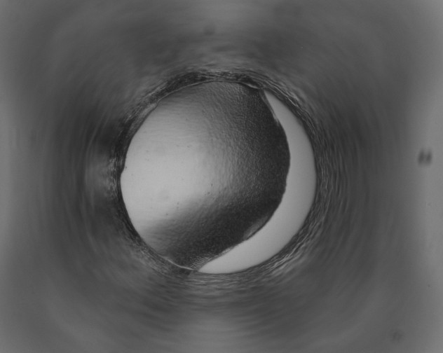 X0000090441156200708031147