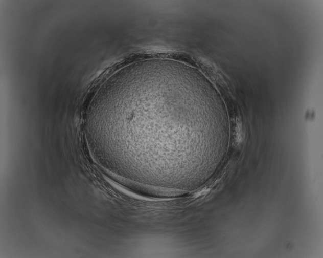 X0000090441157200708031147