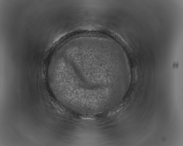 X0000090441158200708031147