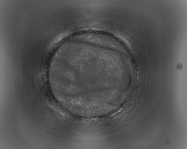 X0000090441159200708031147