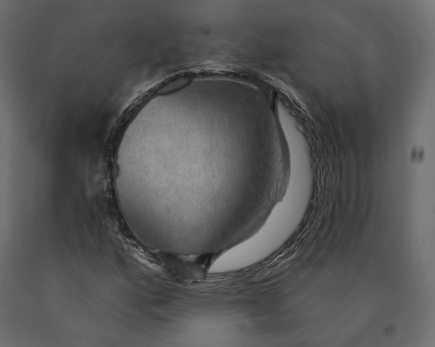 X0000090441160200708031147