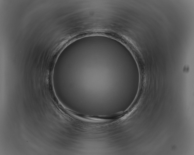 X0000090441161200708031147