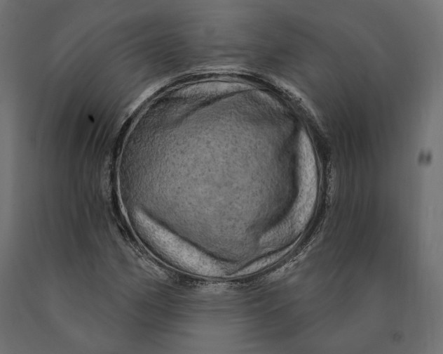 X0000090441162200708031147