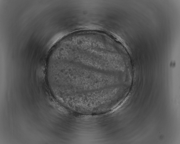 X0000090441163200708031147