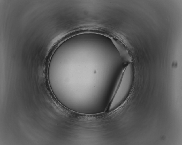 X0000090441164200708031147