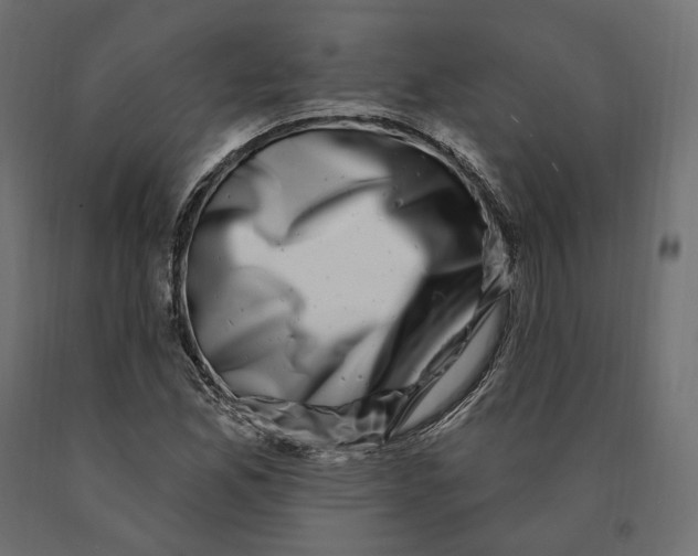 X0000090441165200708031147