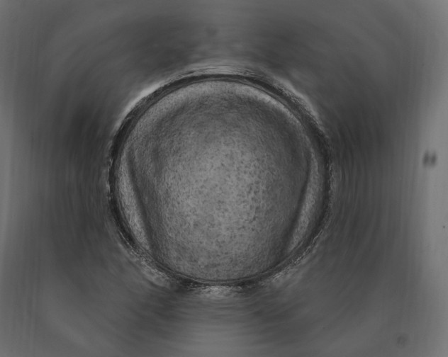 X0000090441166200708031147