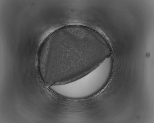 X0000090441167200708031147