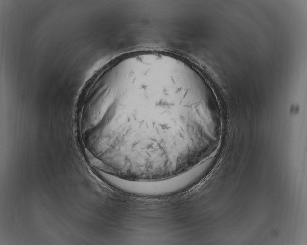 X0000090441168200708031147