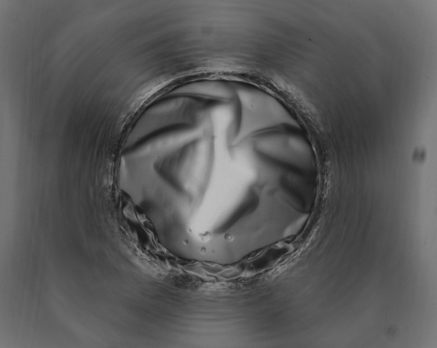 X0000090441169200708031147