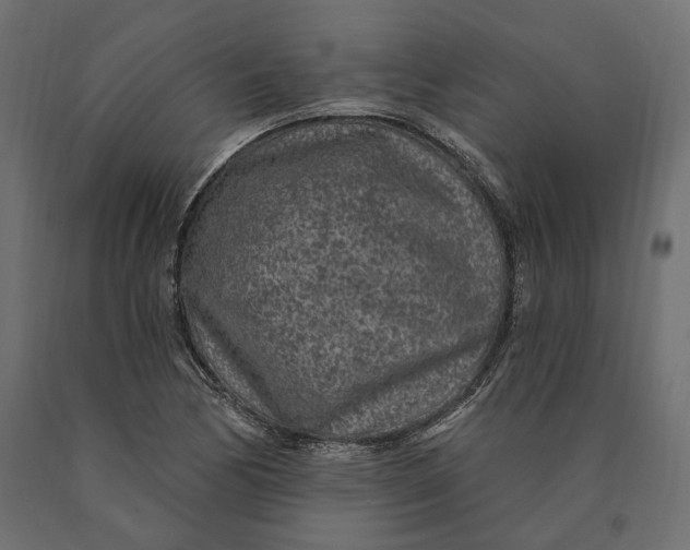 X0000090441170200708031147