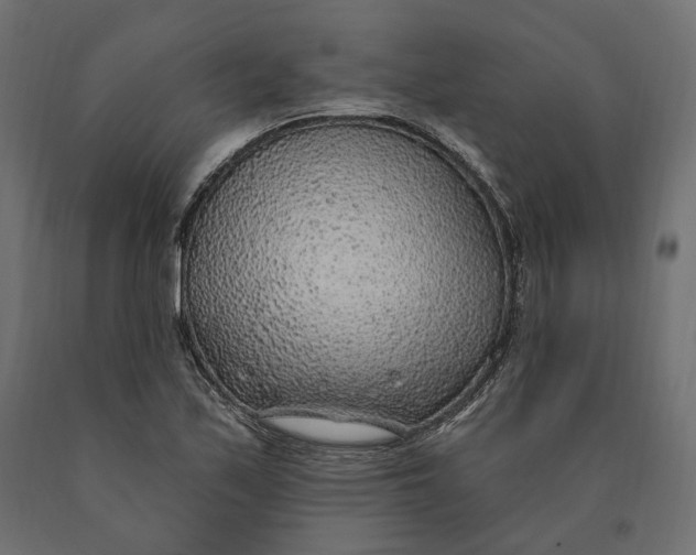 X0000090441171200708031147