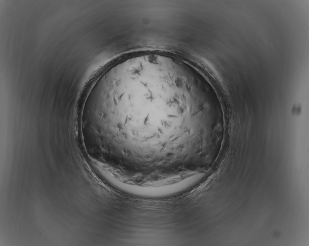 X0000090441172200708031147