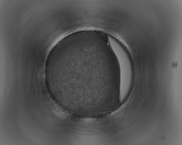 X0000090441173200708031146