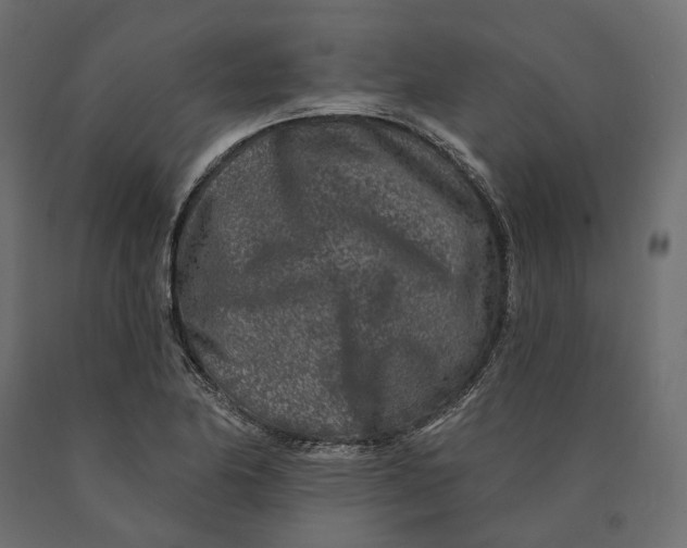 X0000090441174200708031146