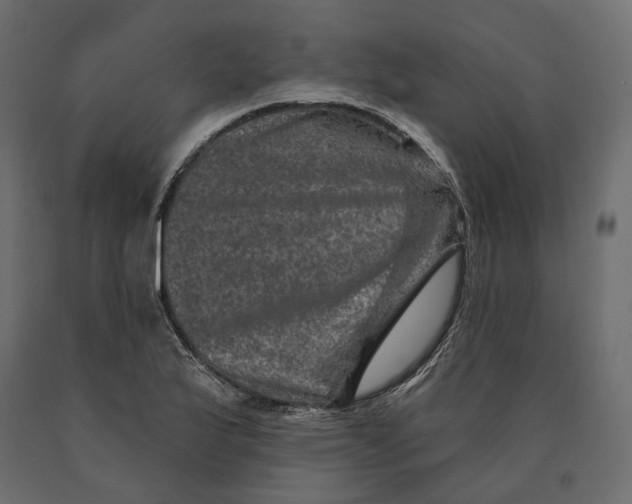 X0000090441175200708031146