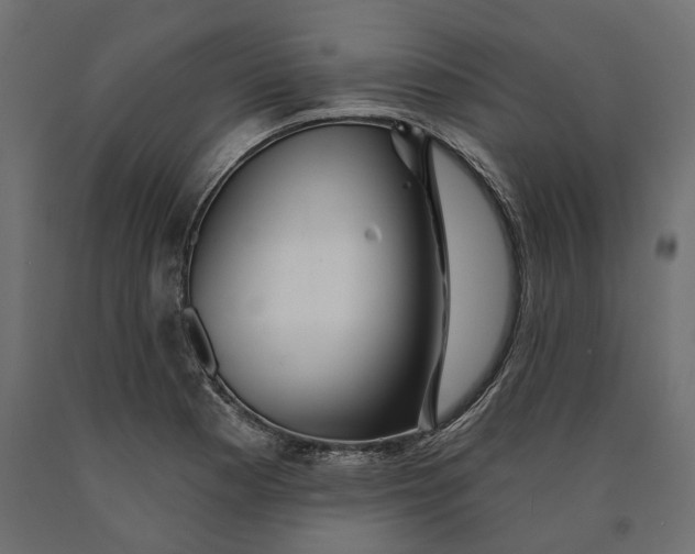 X0000090441177200708031146