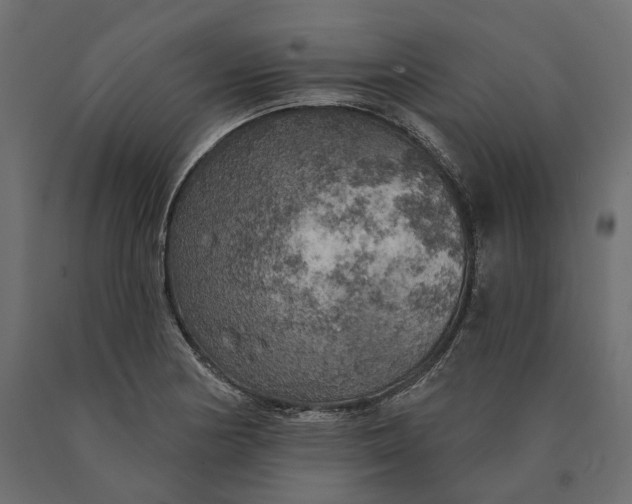 X0000090441178200708031146