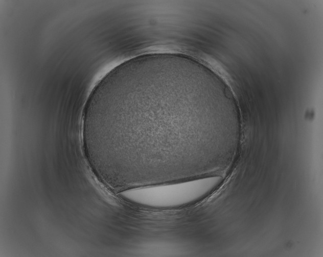 X0000090441179200708031146