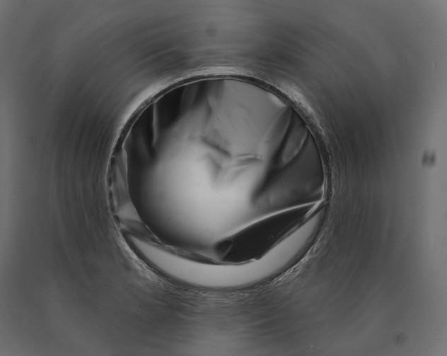 X0000090441181200708031146