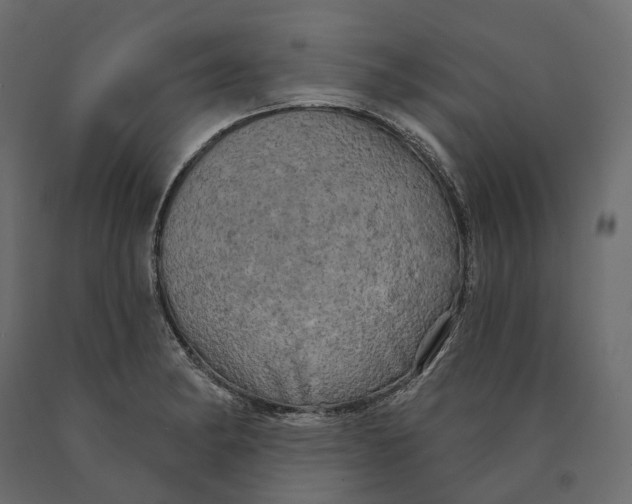 X0000090441182200708031146