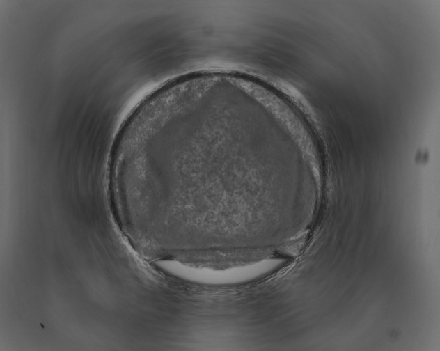 X0000090441183200708031146