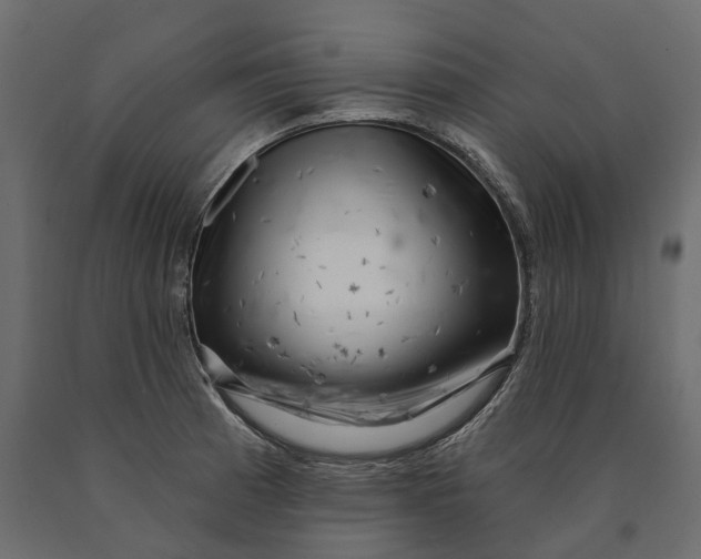 X0000090441185200708031146