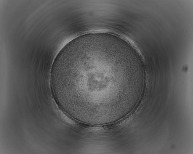 X0000090441186200708031146