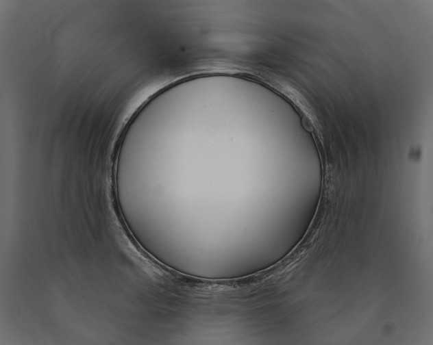 X0000090441187200708031146