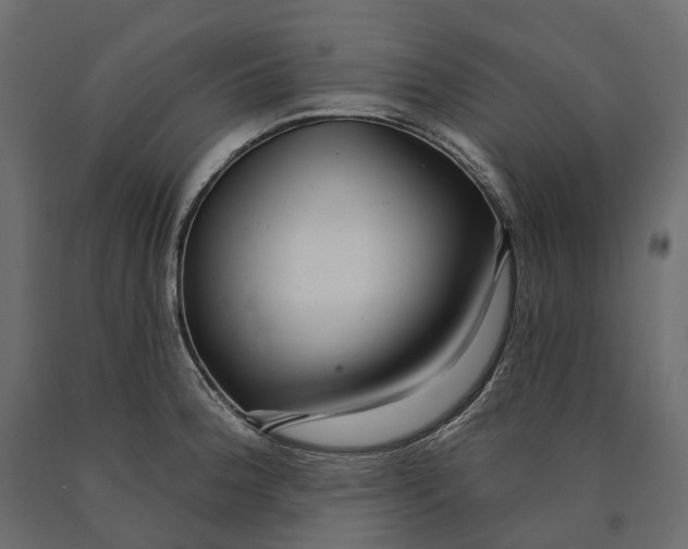 X0000090441188200708031146