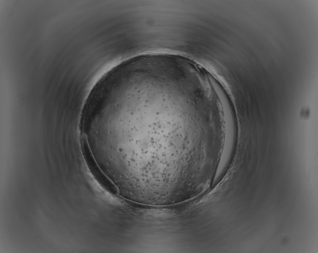 X0000090441189200708031146