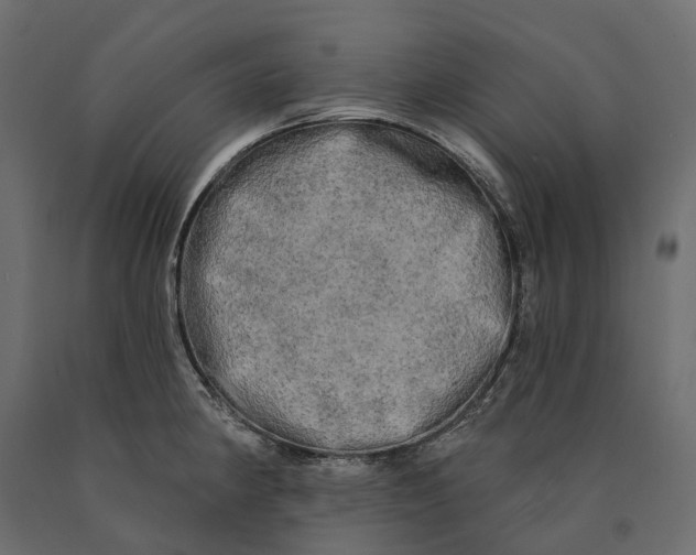 X0000090441190200708031146