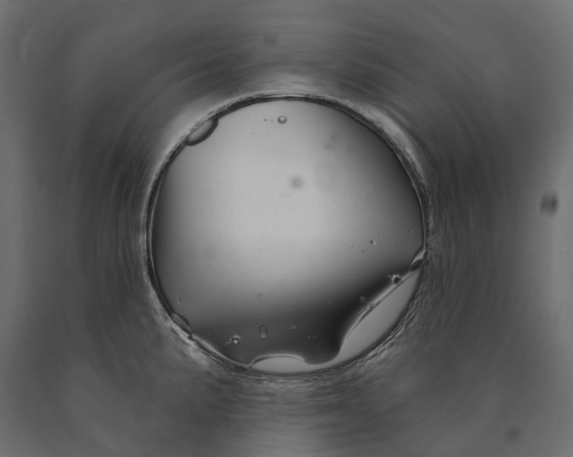 X0000090441191200708031146