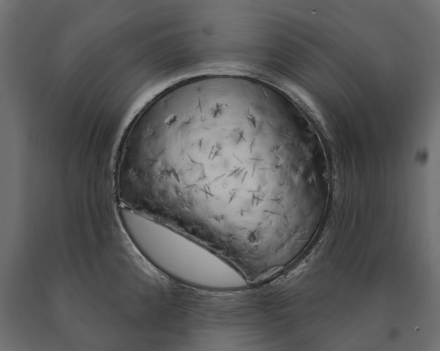 X0000090441192200708031146