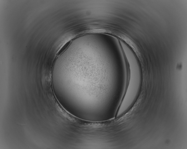 X0000090441193200708031146