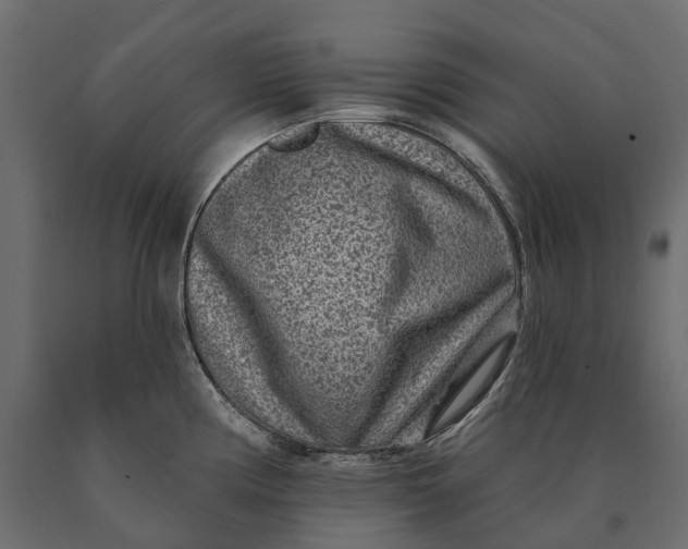 X0000090441194200708031146