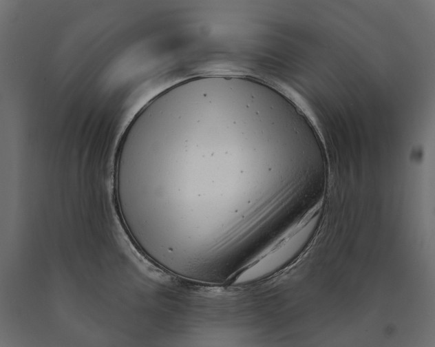 X0000090441195200708031146