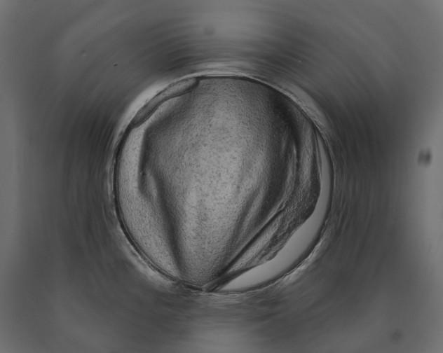 X0000090441196200708031146