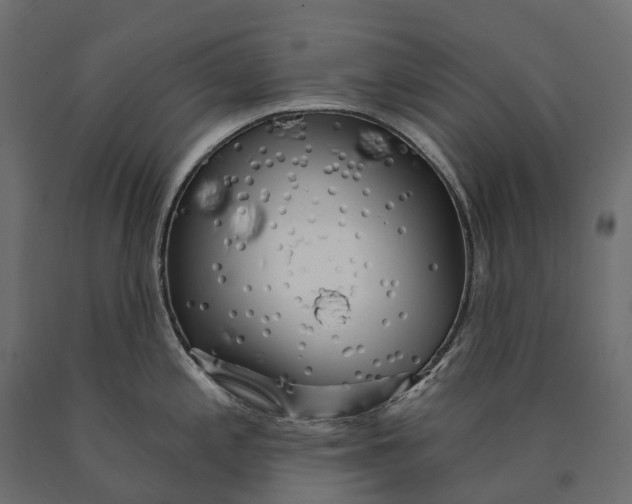 X0000090441197200708031146