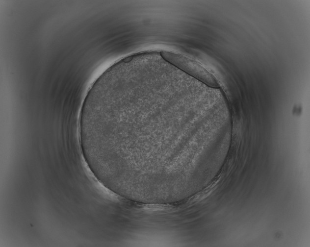 X0000090441199200708031146