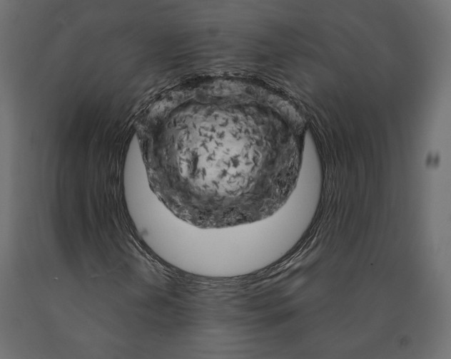 X0000090441202200708031145