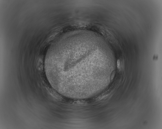 X0000090441203200708031145