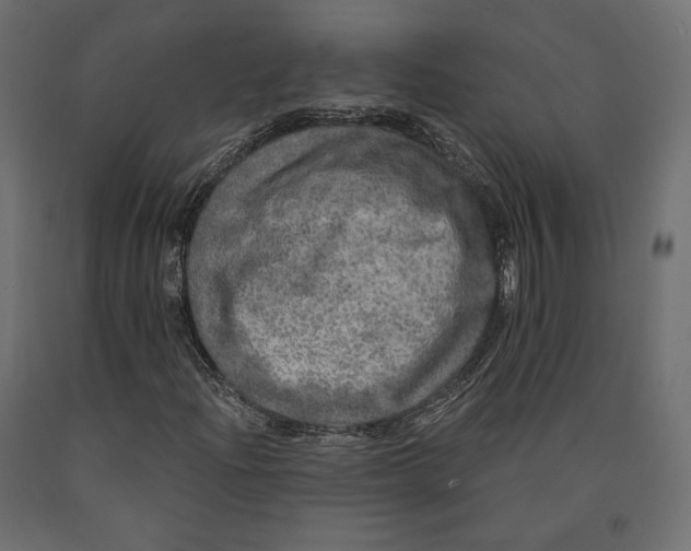 X0000090441204200708031145