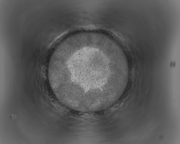 X0000090441205200708031145