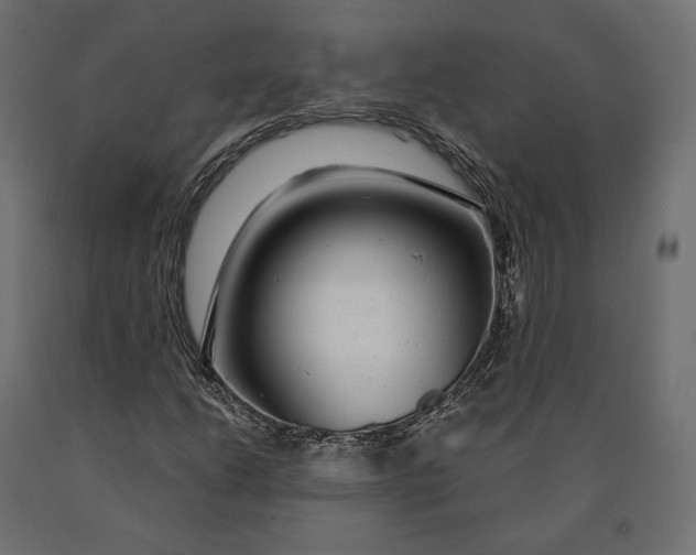 X0000090441206200708031145