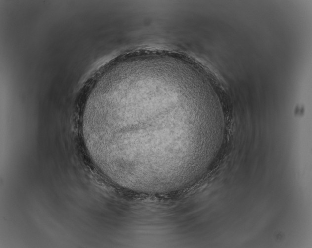 X0000090441207200708031145