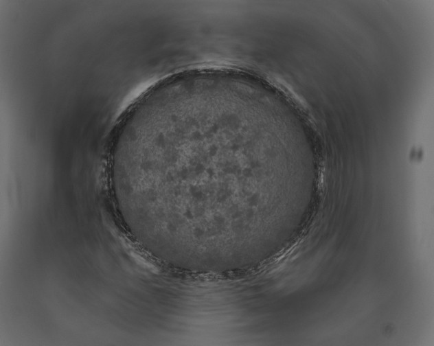 X0000090441208200708031145